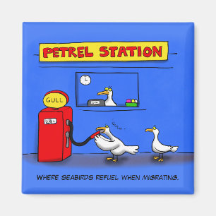Funny sea gulls petrel cartoon humour magnet