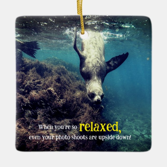 Funny sea lion underwater  ceramic ornament (Front)