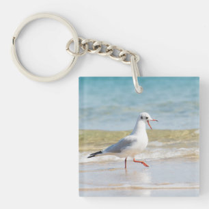 Funny seagull key ring