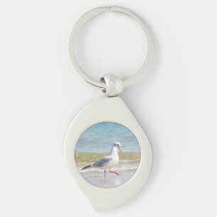 Funny seagull key ring