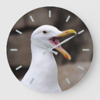 FUNNY Seagull