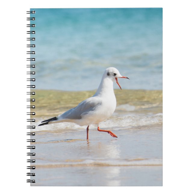 Funny seagull notebook (Front)