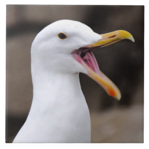 FUNNY Seagull Tile