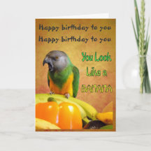 Funny Senegal Parrot Birthday Card
