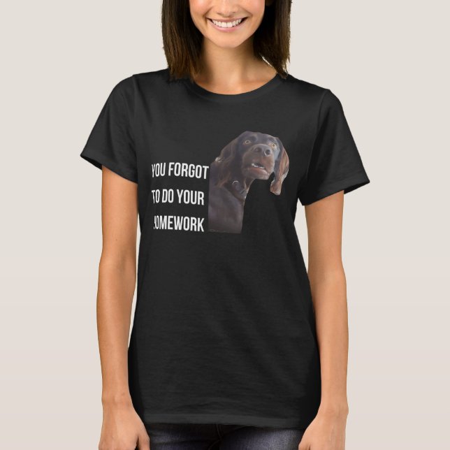 Funny Setter Black Gordon Meme You Forgot Homework T-Shirt (Front)