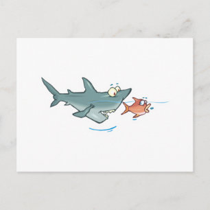 funny shark chasing fish postcard