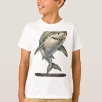 Funny Shark for Kids