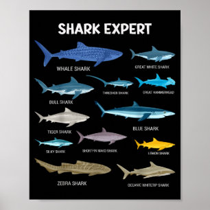 Funny Shark Tee For Men Ocean Fish Kids & Todd Poster