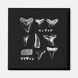 Funny Shark Teeth Design For Men Women Shark Teeth Magnet