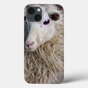 Funny Sheep iPhone 13 Case