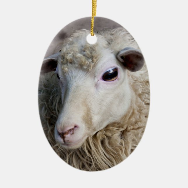 Funny Sheep Ceramic Tree Decoration (Front)