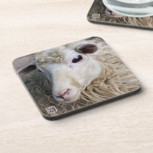 Funny Sheep Coaster