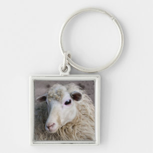 Funny Sheep Key Ring