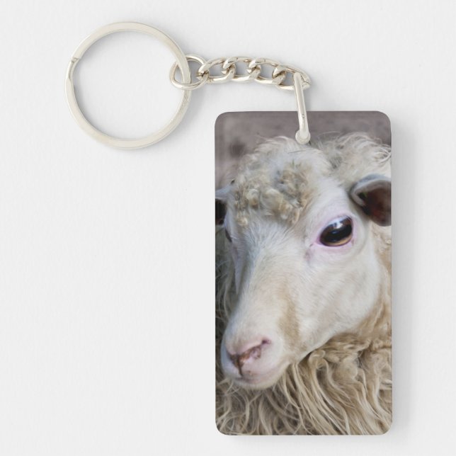 Funny Sheep Key Ring (Front)