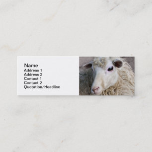 Funny Sheep Mini Business Card