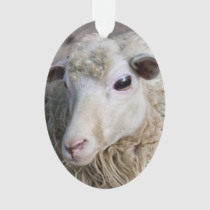 Funny Sheep Ornament