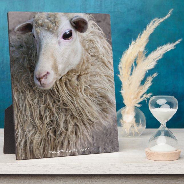 Funny Sheep Plaque (Side)