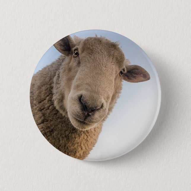 Funny sheep selfie 6 cm round badge (Front)