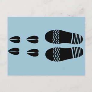 funny Sheep Shagger Postcard