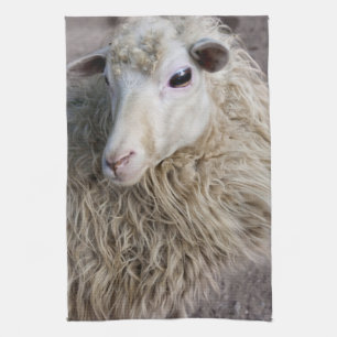 Funny Sheep Tea Towel