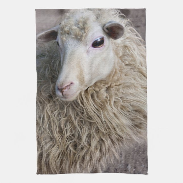 Funny Sheep Tea Towel (Vertical)