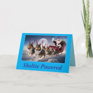 Funny Sheltie Christmas Holiday Card