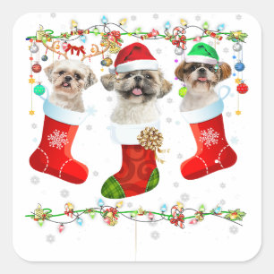 Funny Shih Tzu Dog Christmas Lights   Puppy Gifts Square Sticker