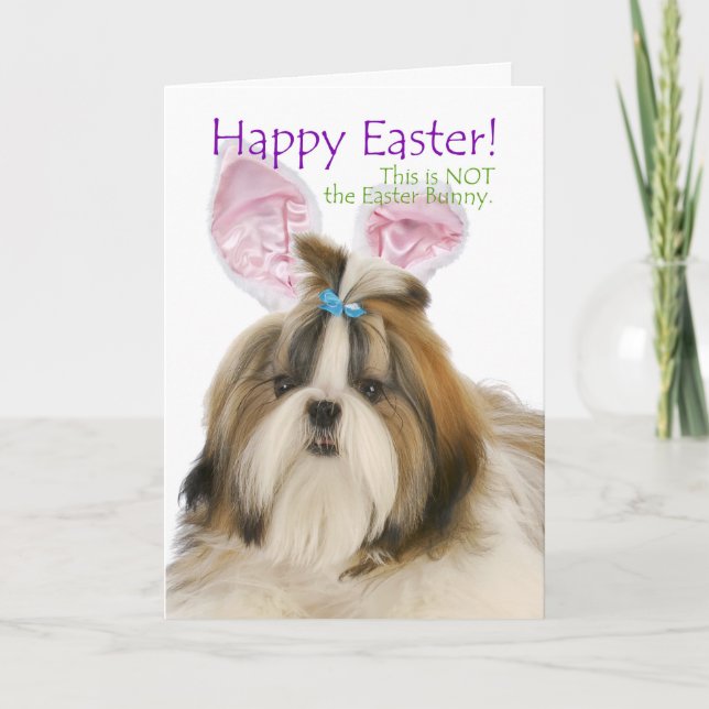 Funny Shih Tzu Easter Card (Front)