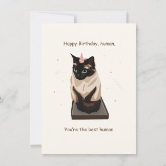 Funny Siamese Cat Happy Birthday Card