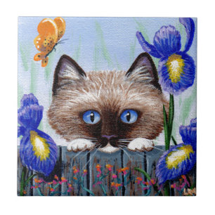 Funny Siamese Ragdoll Burmese Cat Irises Tile