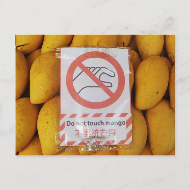 Funny Sign 'Do not touch mango' Postcard (Front)