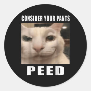 Funny Silly Cat Memes By 919 Designs Consider Your Classic Round Sticker