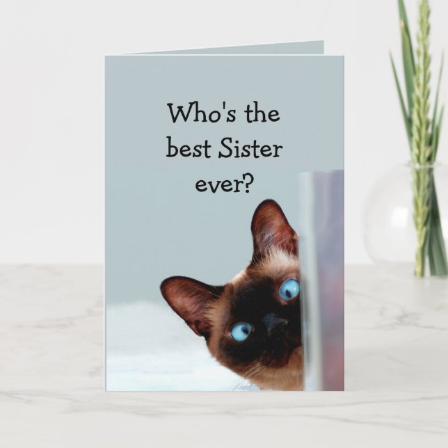 Funny Sister Birthday Wishes Siamese Cat Card (Front)