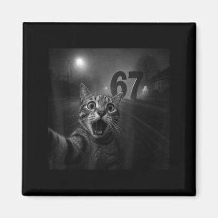 Funny Six Seven 6 7 Meme Gen Z Alpha Slang Cat Sel Magnet
