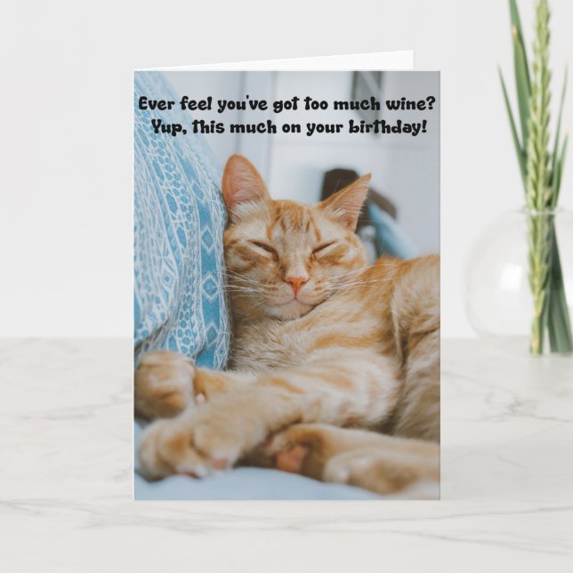 Funny Sleeping Cat Birthday Greeting Card  (Front)