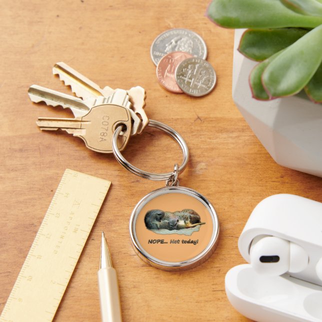 Funny, sleeping meerkats key ring (Desk)