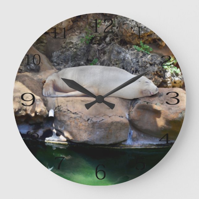 Funny Sleeping White Sea Lion,  Large Clock (Front)