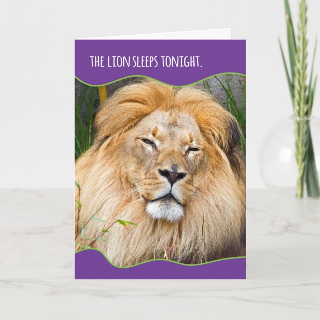 Funny Sleepy Lion Birthday Card (Front)