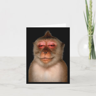Funny sleepy monkey tired monkey meme primate  card