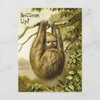 Funny Sloth With "Bottoms Up" Postcard