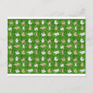 funny sloths postcard
