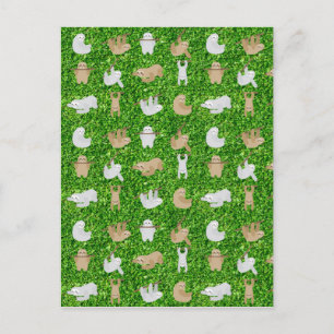 funny sloths postcard