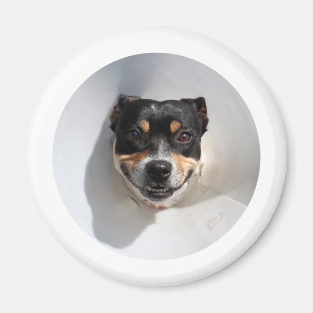 Funny smiling dog magnet (Front)