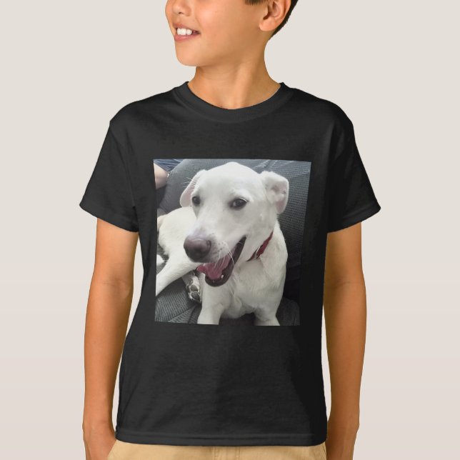 Funny Smiling Dog Photo Wearing Red Collar Holiday T-Shirt (Front)