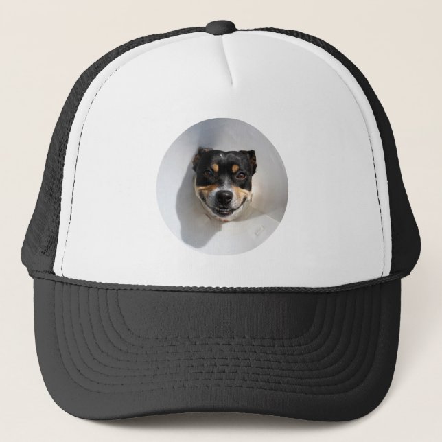 Funny smiling dog trucker hat (Front)