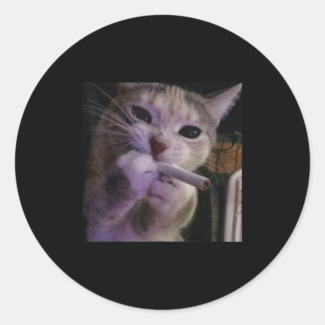 Funny Smoking Cat, Cigarette Kitty Gen Z Meme, Cat Classic Round Sticker (Front)