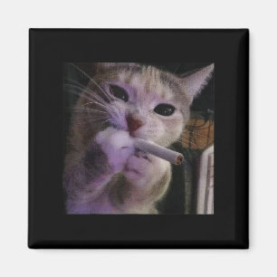 Funny Smoking Cat, Cigarette Kitty Gen Z Meme, Cat Magnet