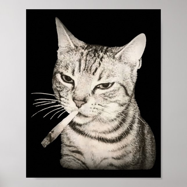 Funny Smoking Cat Cigarette Kitty Gen Z Meme  Poster (Front)