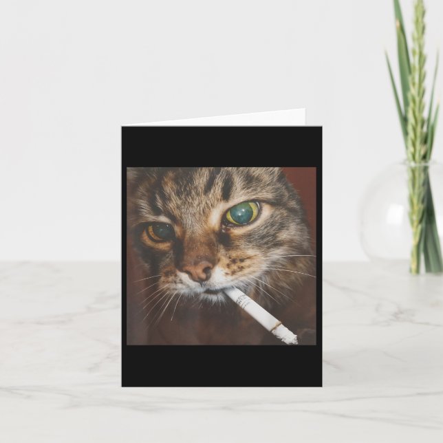 Funny Smoking Cat Meme  Card (Front)