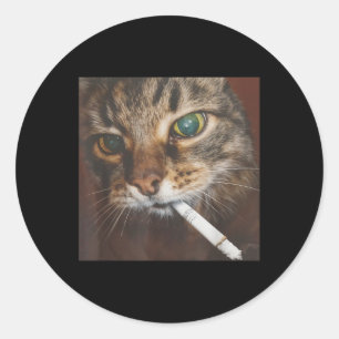 Funny Smoking Cat Meme  Classic Round Sticker